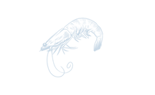 34.png