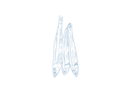 27.png