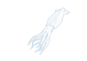 30.png