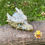 Thumbnail: Dragonites: Crystal Guardians