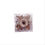 Thumbnail: Passionately, Rose