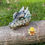 Thumbnail: Dragonites: Crystal Guardians