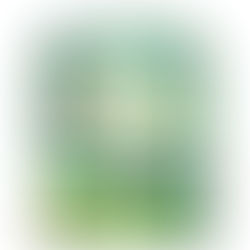 "Something to Read" Gift Guide