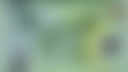 Papua-Neuguinea: Neue 2-Kina-Note in kleinerem Format