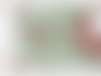 War die "Bürgermark" ein Regionalgeld aus Bayern?