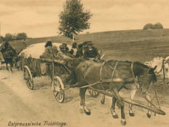 Der russische Angriff auf Ostpreußen 1914 – Eine familiäre Nachbetrachtung