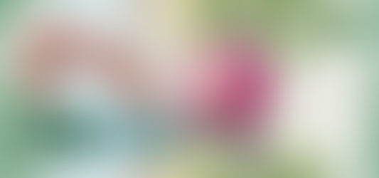 G+D Green Longlife erhält den IACA-Award für das beste Banknoten-Feature