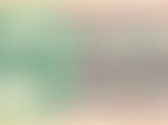 Lexikon: Military Payment Certificates