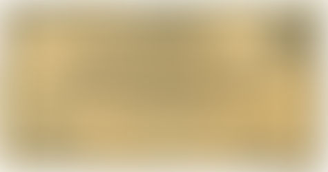 Die Rekonstruktion altdeutscher Geldscheine