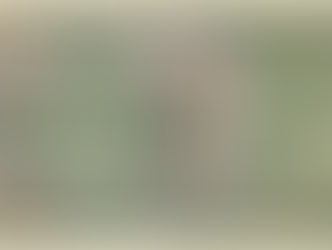 Alfons Mucha – Die weniger bekannte Seite des Meisters des Jugendstils