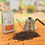 Miniatura: Catucaí 2SL - MOÍDO 250g - Safra 24/25