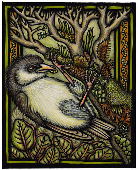 Akikiki, critically endangered bird from Kauai