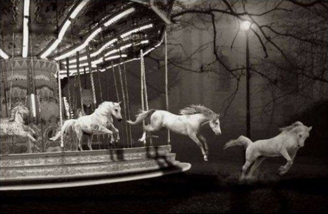 Atelier : Des stratégies émotionnelles à la Souveraineté intérieure