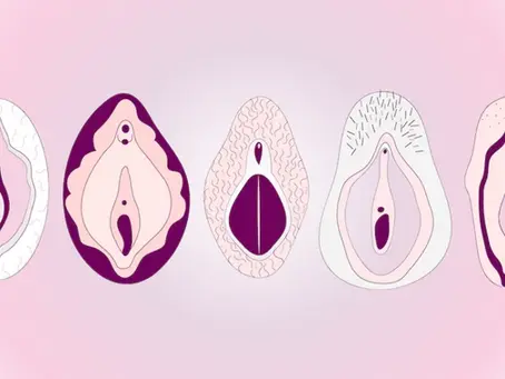  Le clitoris : tout ce que vous ne savez peut-être pas encore