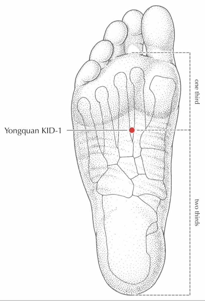 L'hiver & le Qi des Reins