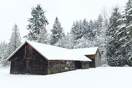 Winter Barn.JPG