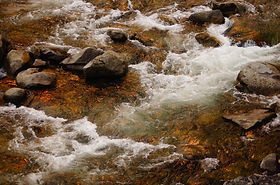 Fire Creek .JPG