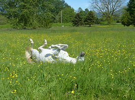 P1090045.JPG
