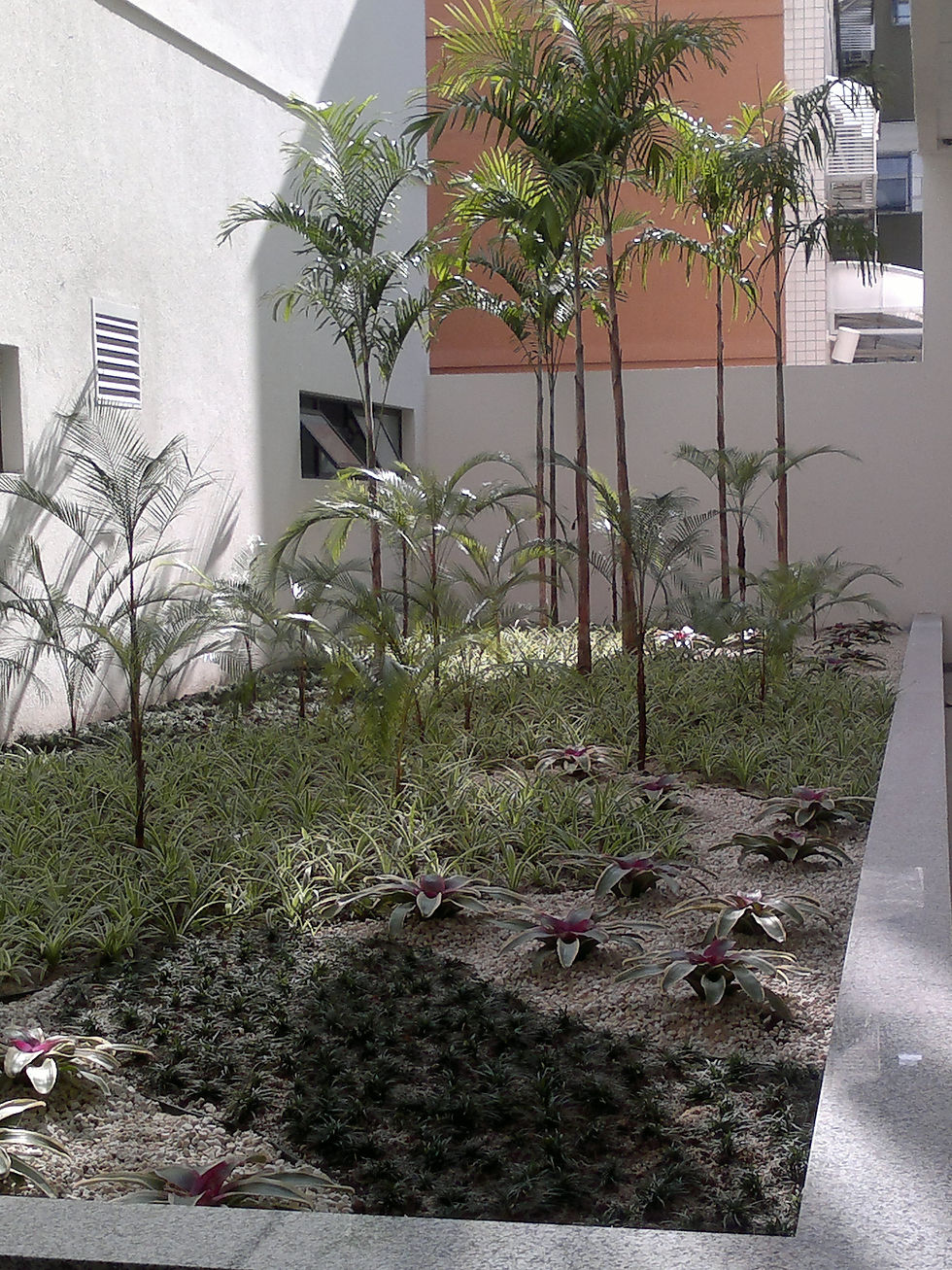 Ibemec Barra interno (1)