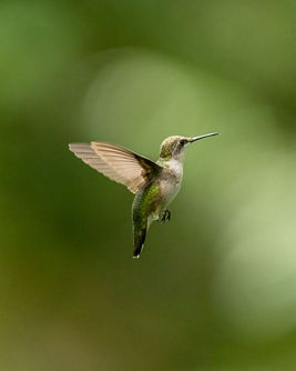 See Through Love, Not Fear!