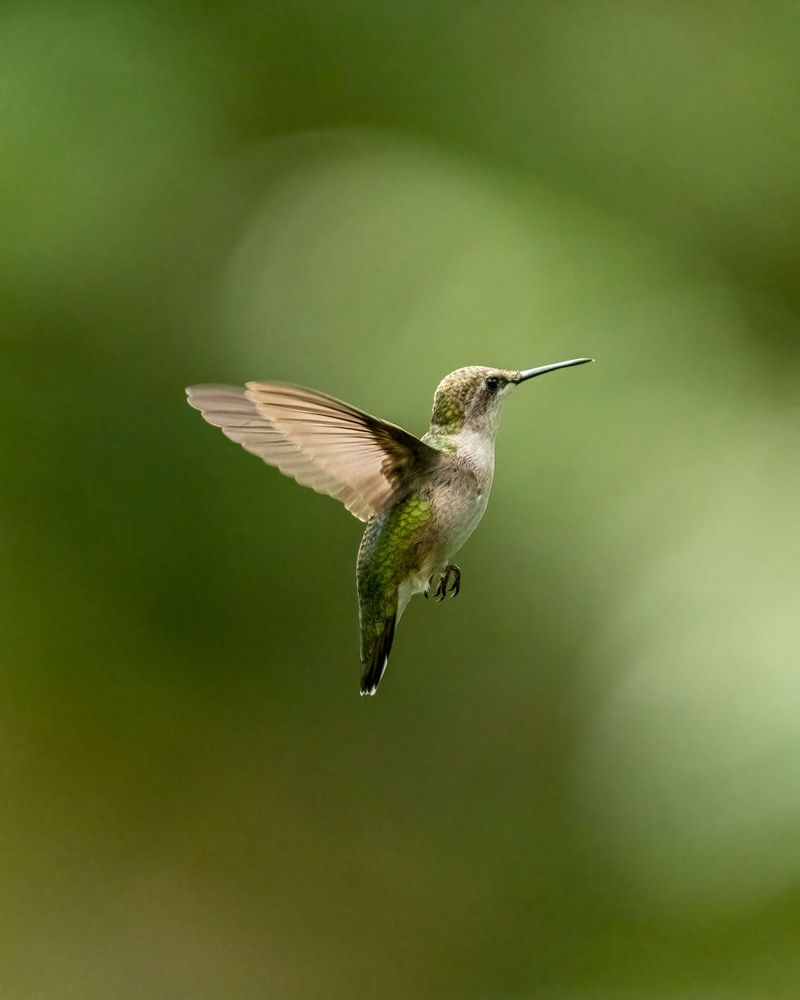 See Through Love, Not Fear!