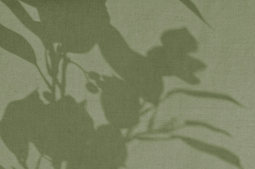 Shadow-Green.jpg