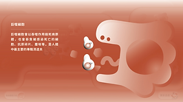 截圖 2025-01-27 下午4.07.13.png