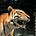 IMG_4727.JPEG