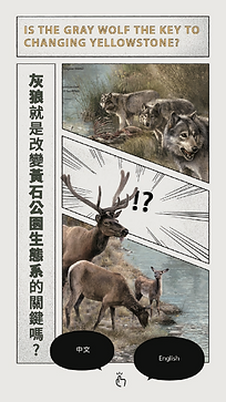 截圖 2025-01-27 下午12.30.20.png