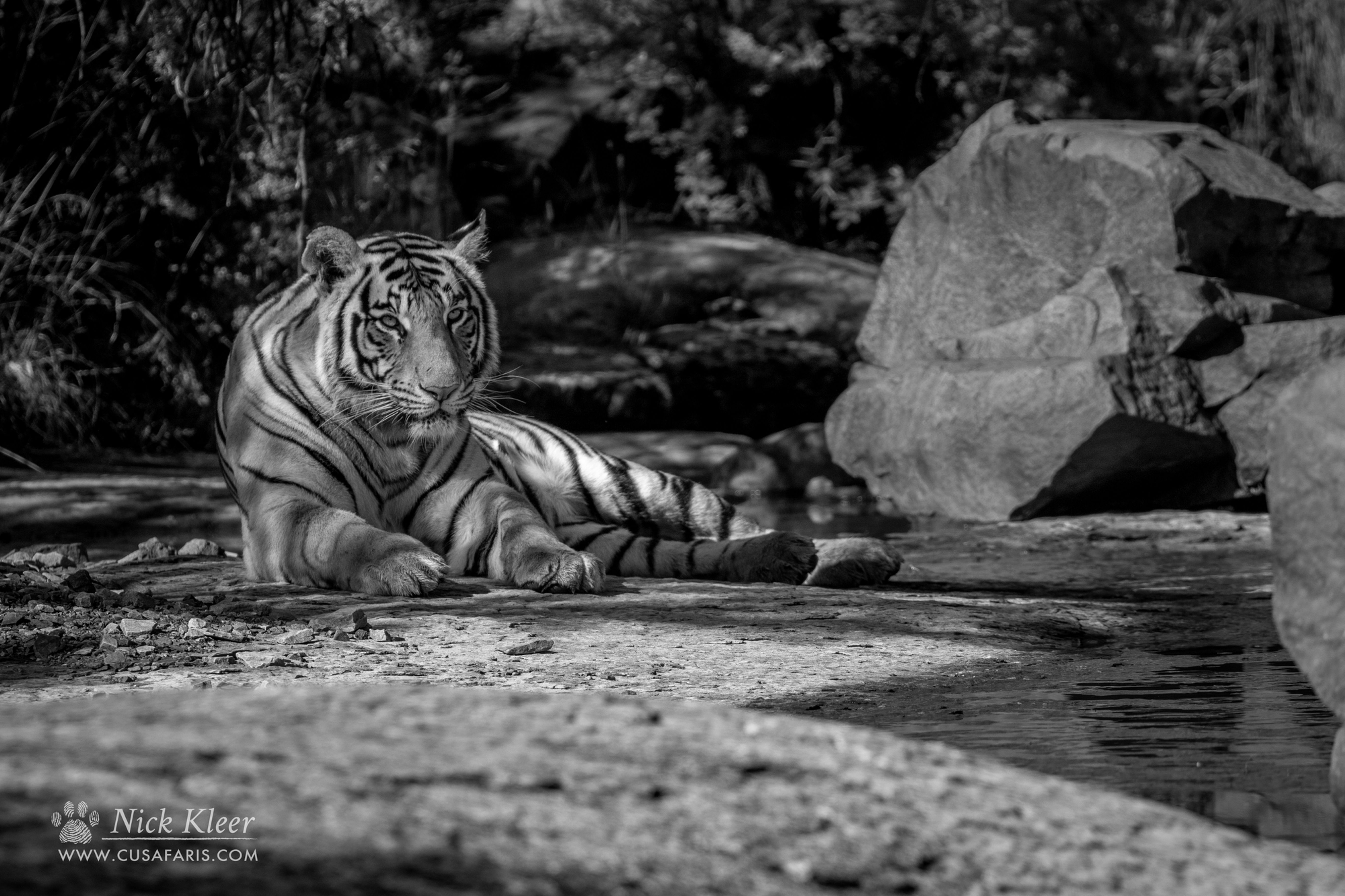 Nick Kleer | Chilling