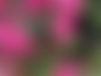 小さなアートスタジオ森羅万象としての生き方、そして新しい年。