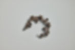 1027-20395.jpg