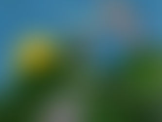 Efectul alcoolului asupra creierului