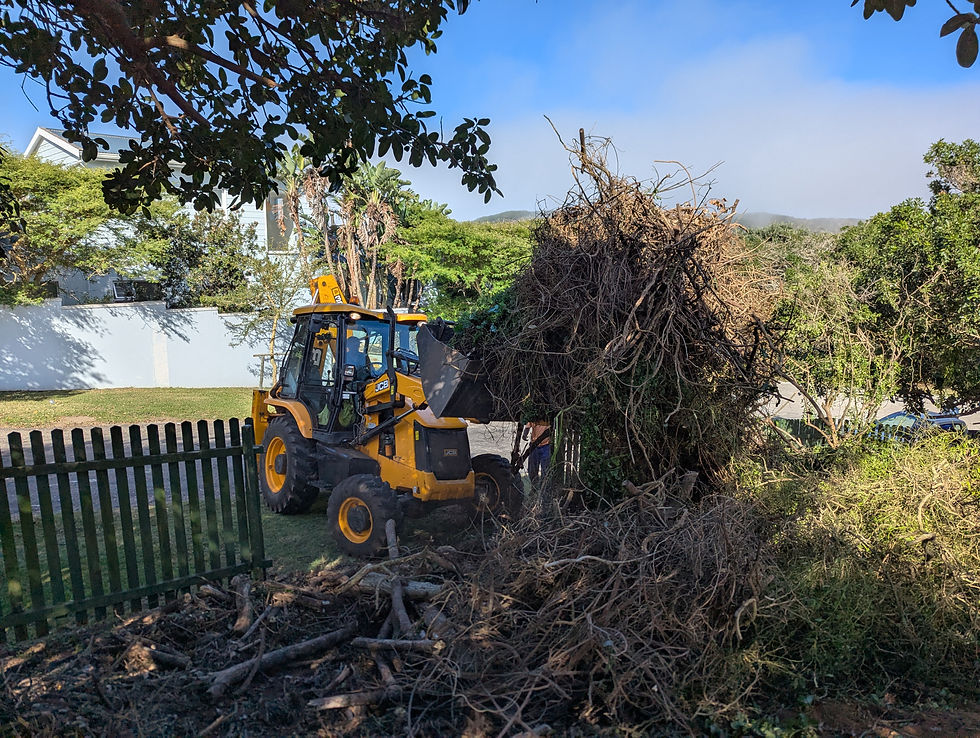 JCB TLB removing excess waste from the Kenton Bowling Club