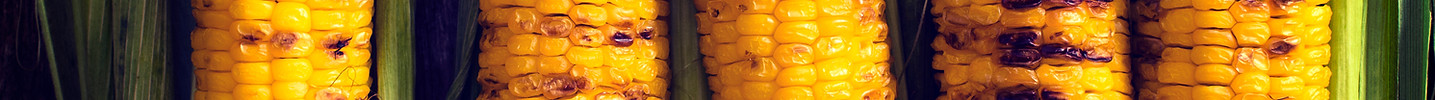 Roasted Corn