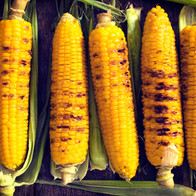 Roasted Corn