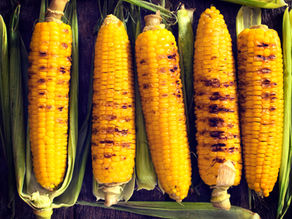 ROASTED CORN seasonal item  