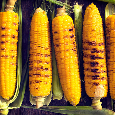 Why Roasted Millies is the Perfect Snack for Any Occasion