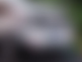 Car trunk smashed in after a car accident