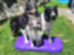 ree