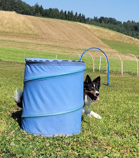 Hoopers Turnier in Bex