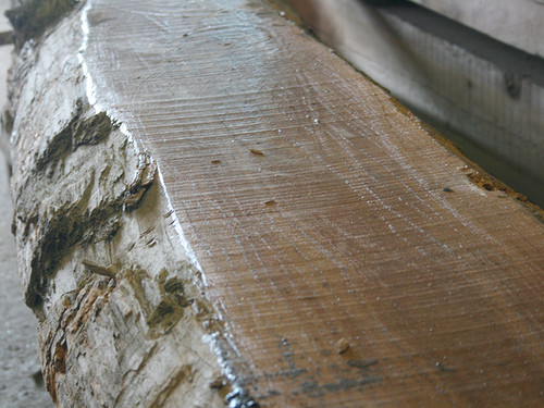 神代ケヤキ（神代欅）A466ロa：長3600×巾360～730×厚147mm | アトリエ欅