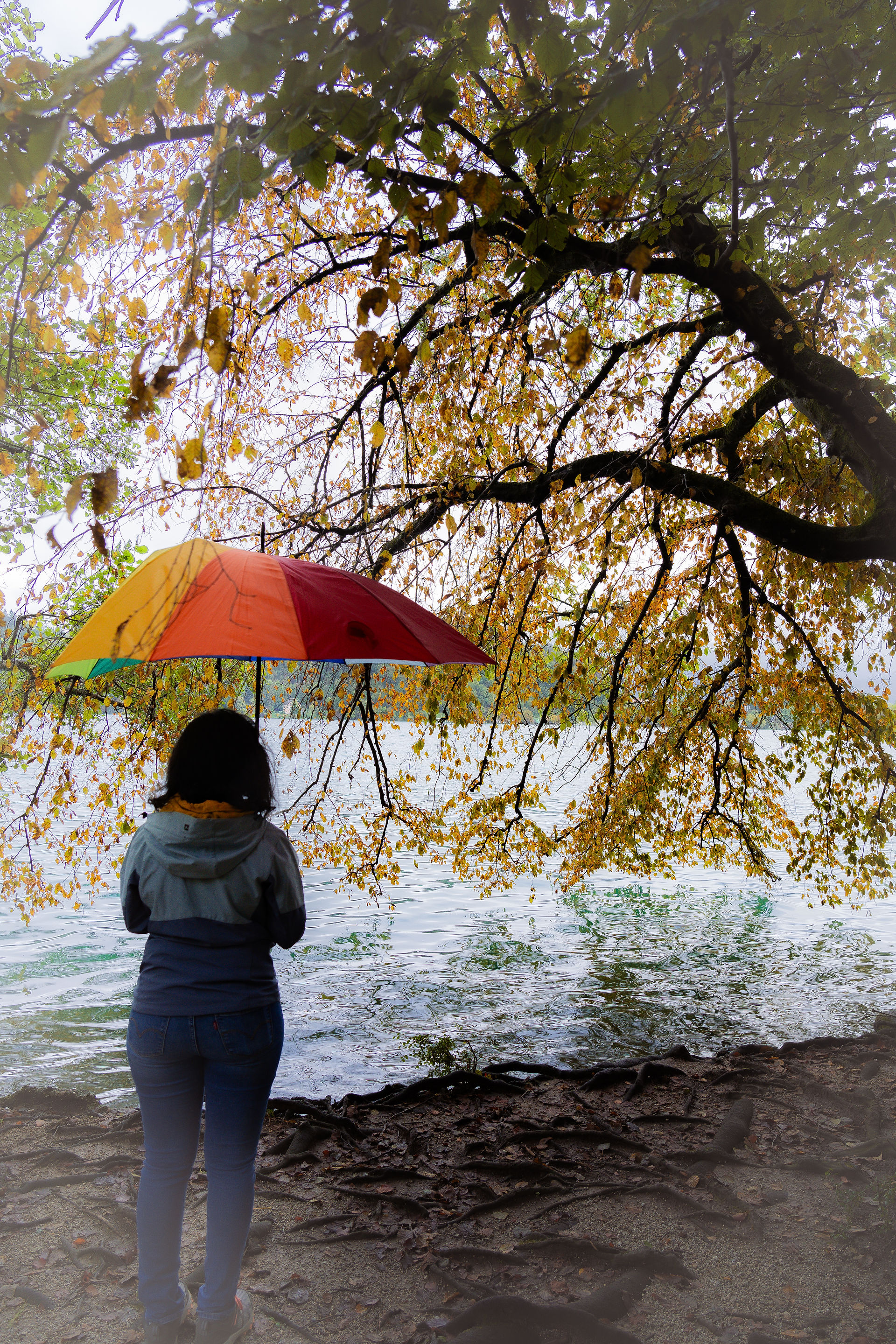 Autumn as a backdrop to capture your travel