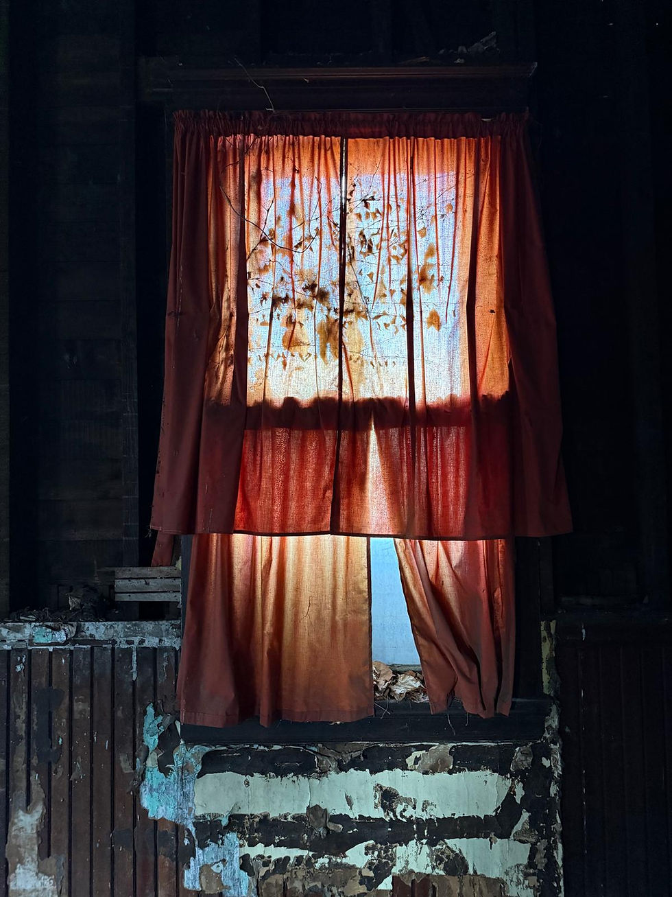 WhatsApp Image 2025-05-19 at 10.55.22 (4).jpeg