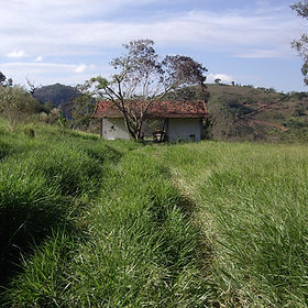 AZ. atelier br_edited.jpg