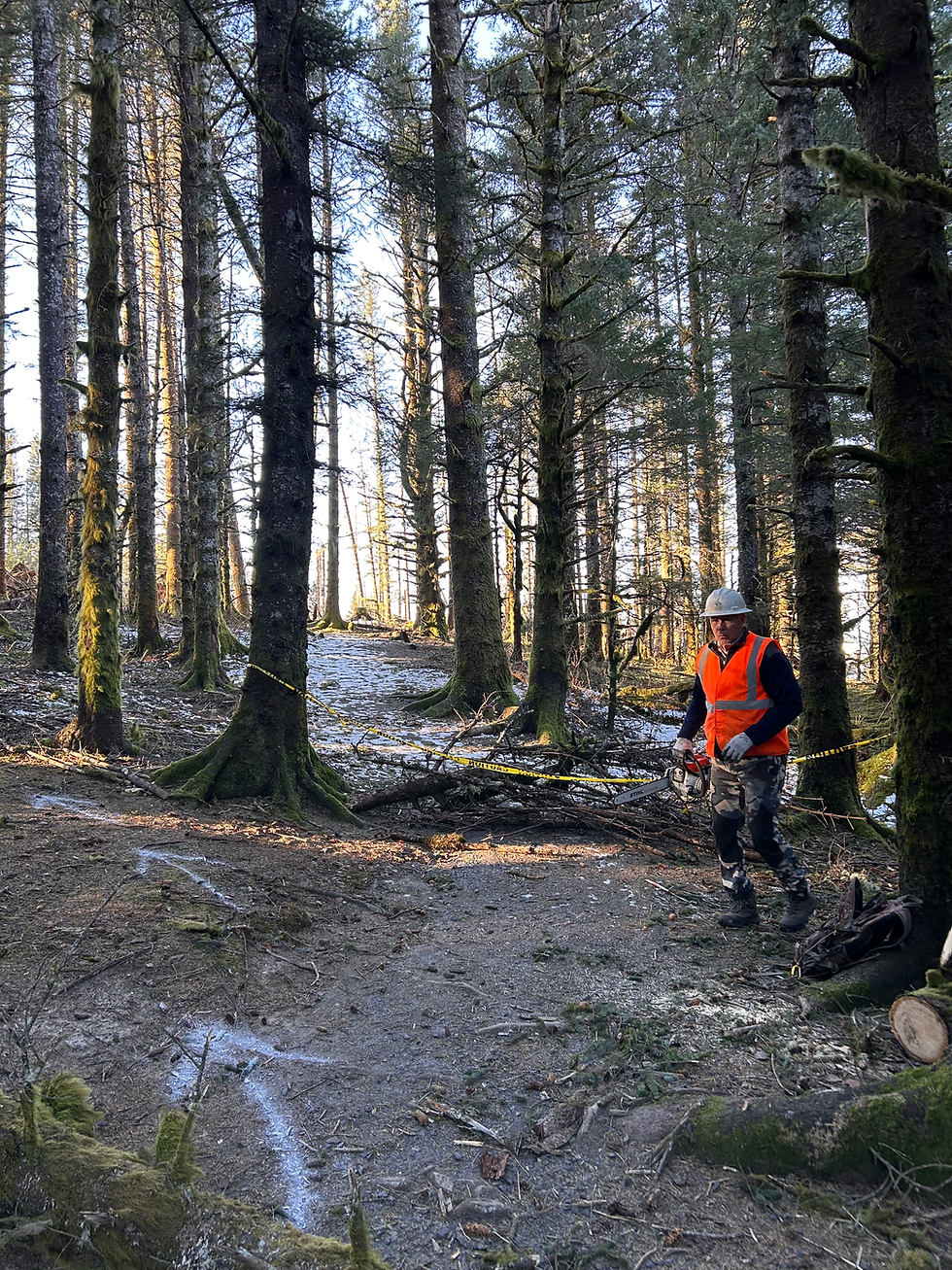 ITN: March 2026 Newsletter