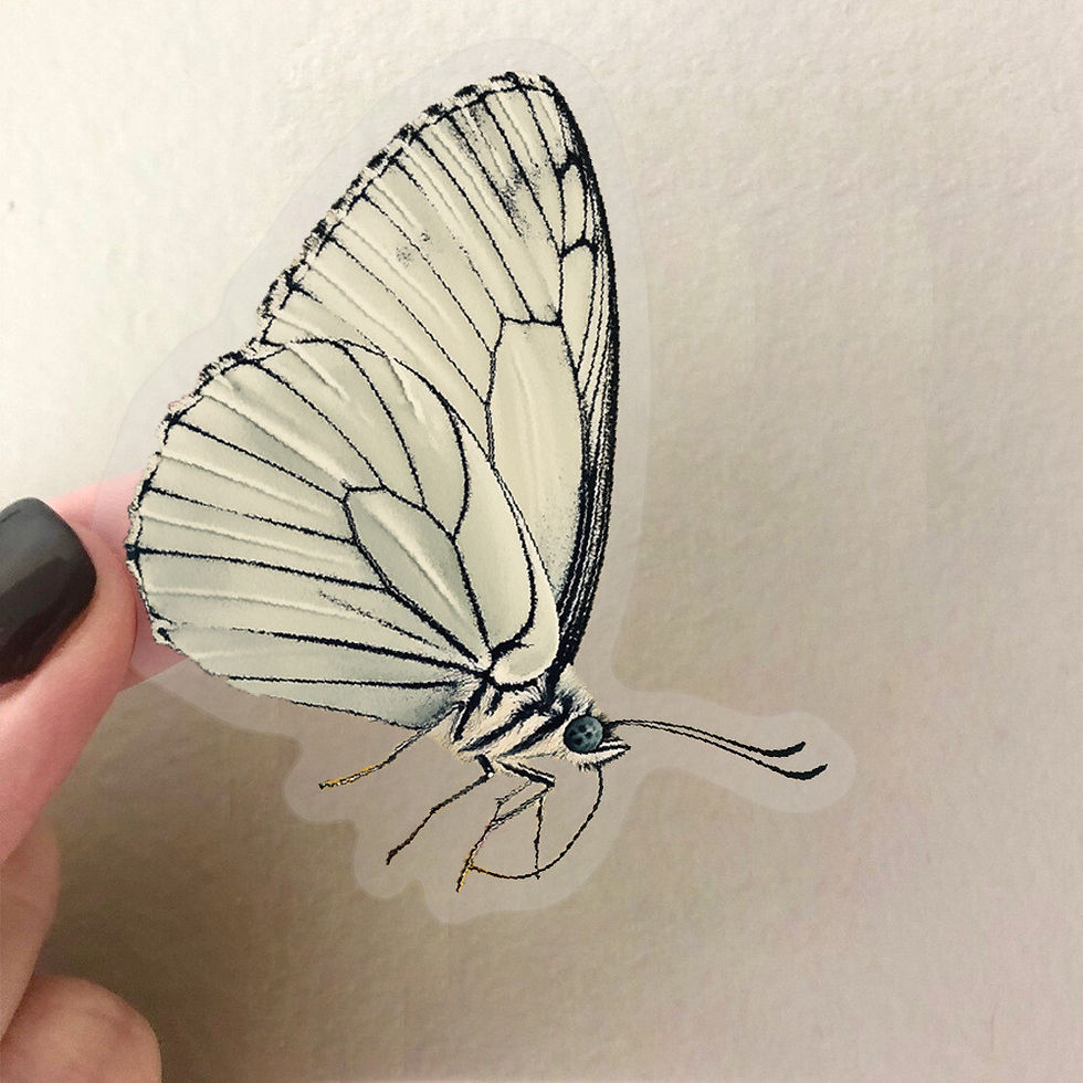 Thumbnail: 50PCS Transparent Elegant Butterfly Sticker Pack - Waterproof Clear PET for Scra