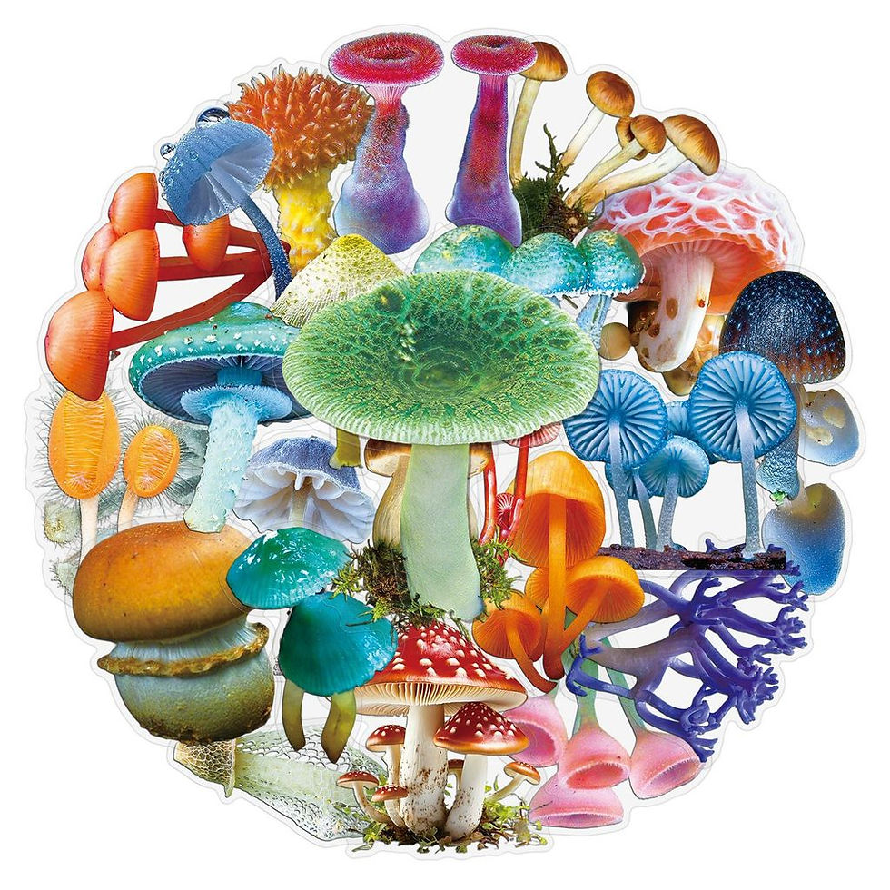 Thumbnail: 50Pcs Realistic Mushroom PET Transparent Stickers Waterproof Fungi Art Decals fo