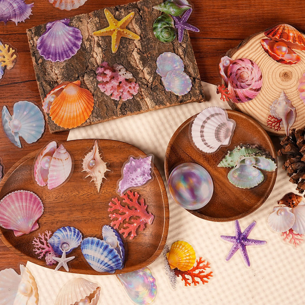 Thumbnail: 56 Pcs Transparent PET Seashell Stickers - New Exquisite Waterproof Decals for J