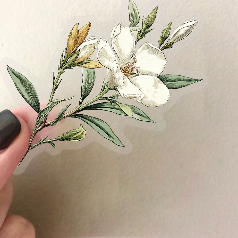 Thumbnail: 50pcs Retro Long-Branch Flowers Floral Stickers Transparent Decals for Phone Cas
